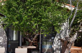 AV Suites - Giorgio - Photo 29