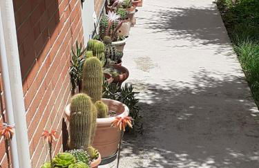 la sterlizia - Foto 10