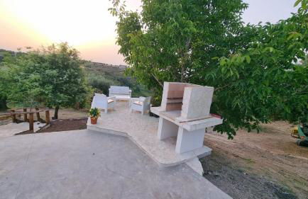 LA PACE DEGLI AGRUMI - Foto 49