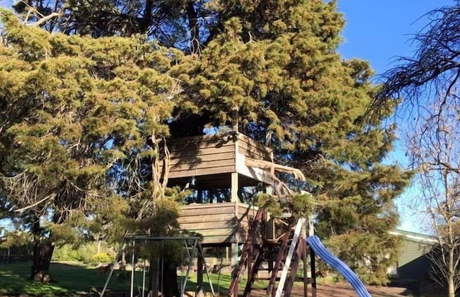 Taradale House Estate - Foto 53