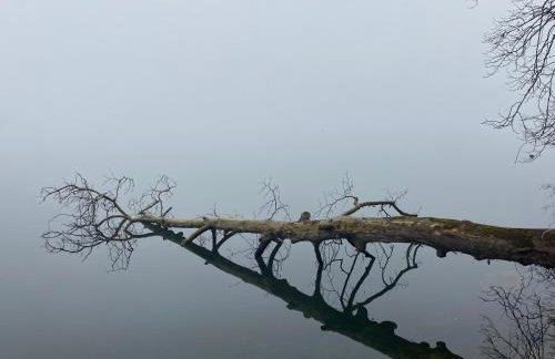 Doppio Chalet Καστοριά - Photo 72