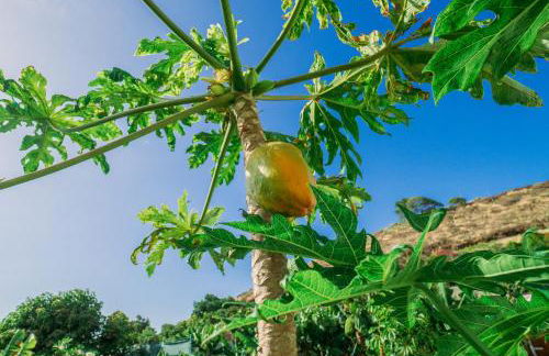 CASA EMBLEMÁTICA MARUCA y LELI - Foto 23