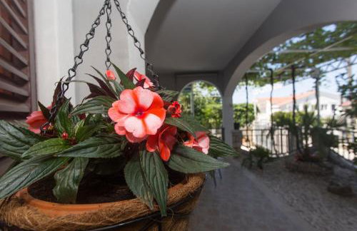Apartmani Stanic - Photo 29