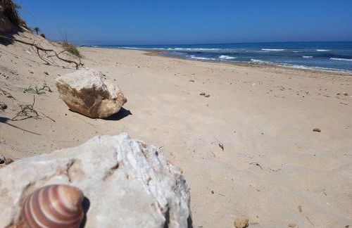 Ferienvermietung David - Foto 13