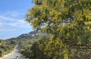 St Raphaël piscine wifi, commerces et mer à pieds - Foto 16