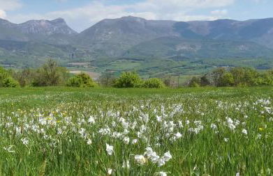 Gîte du Grand Delmas - Foto 22