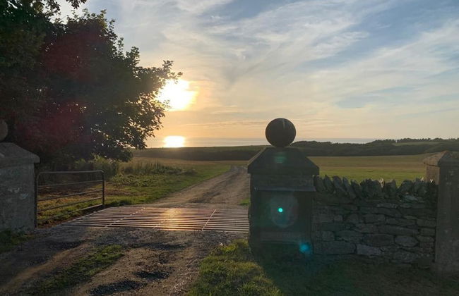 Elm - Bell Tent 2-4 Person Anglesey, North Wales - Photo 17