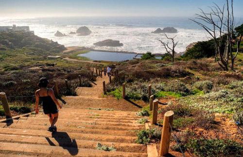 Golden Gate Park Sweet Home- 3 Bedrooms - Foto 38