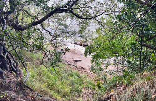 Ferienhäuser Insel Usedom Waldhaus 2 mit Whirlpool - Direkt am Achterwasser - Foto 20