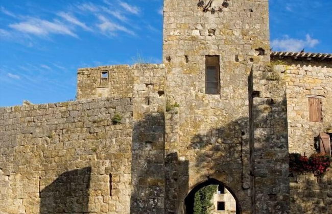 Domaine de Saint-Orens​ - Photo 41