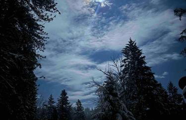 Tranquil Nature Retreat on 12 acres! - Foto 36