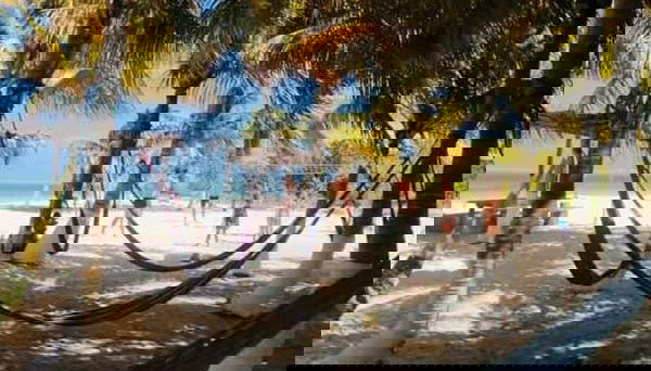 Tour in Lázaro Cárdenas - Photo 5