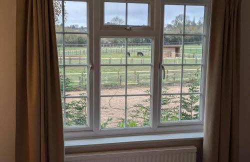 Lavender Lodge - Foto 16