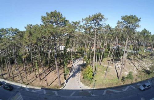 Sea and Pinewood Ofir Apartment - Foto 25