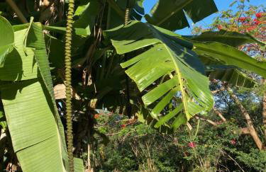 Casa do Ney - Foto 43