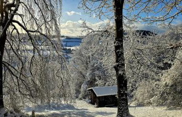 Auszeyt Edersee für Zwei - Foto 31