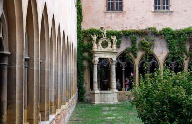 Les Suites Du Cygne - Foto 69