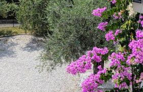 Lake Garda Renovated Apartment - Foto 33