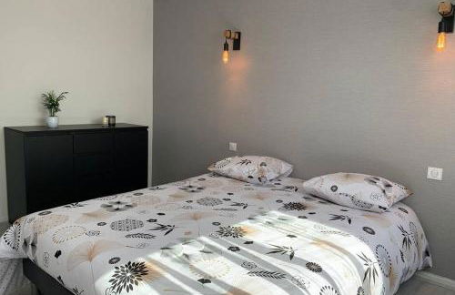 Sans-soucis en plein coeur d'Hautvillers - Foto 8