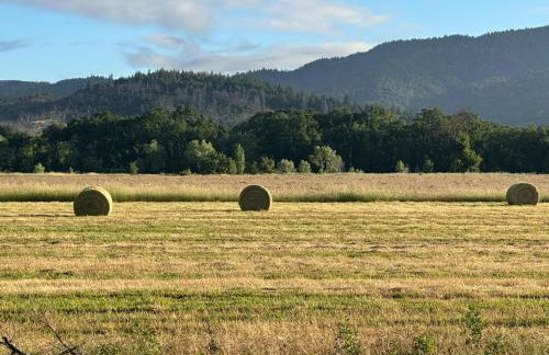 Cozy Covelo Tiny Home - Hot Tub & Oaks - Foto 12