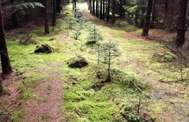 Srokowski Dwór 1 - Leśny Zakątek - Prywatna Sauna! - Foto 24