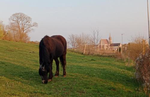 La Cabane des Trappeurs - Foto 51
