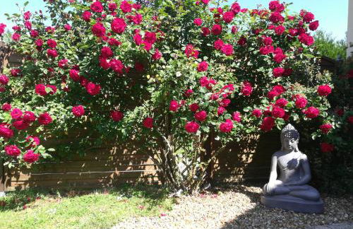 Studio & Gîte Zen de Beauval- 800 m du Zooparc - Photo 32