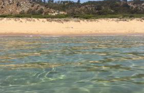 villa peppino - Foto 13