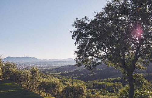 Agriturismo La Forestaria - Foto 52