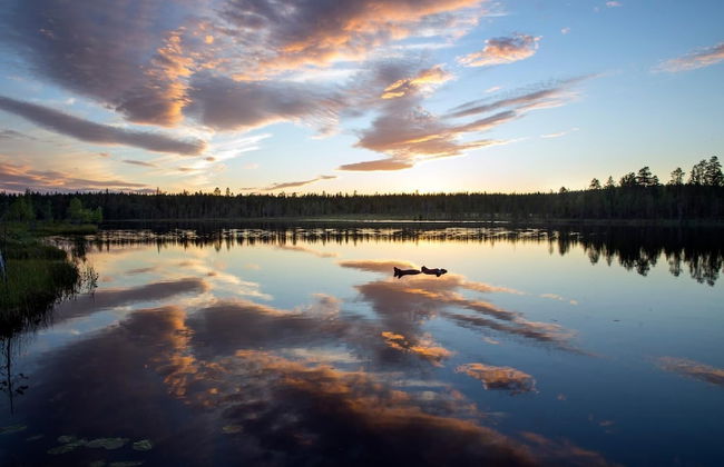 Ounasvaara Lakituvat chalets - Foto 30