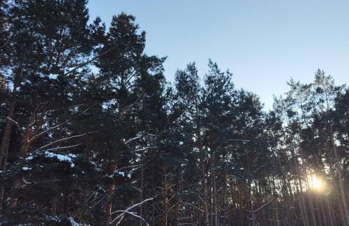 Ruheoase Waldblick - Foto 3