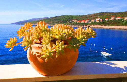 Apartments Ranko - Foto 49