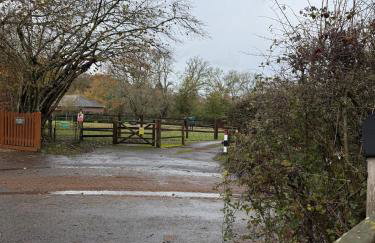 Cosy Forest Cottage Log Fire Ponies Walks - Foto 76