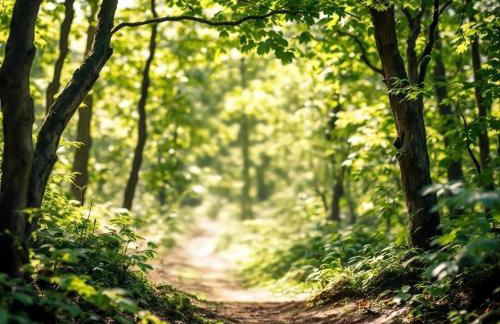 Les gites de Pétrocoriis - Boulazac Périgueux - Foto 36