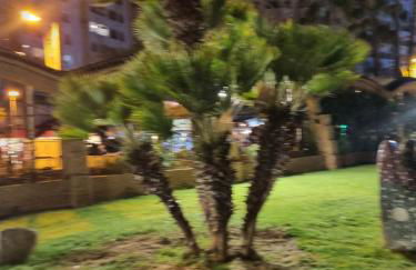 Sol en la plaja - Photo 41