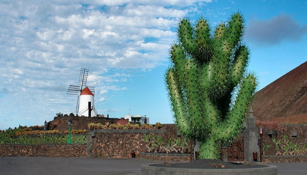 Un día por el norte de Lanzarote: Fundación César Manrique, Cueva de los Verdes y Jardín de Cactus - Foto 2