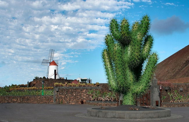 Tour César Manrique: Cueva de los Verdes, Giardino dei Cactus e Fondazione César Manrique - Foto 2