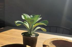 CAL PASSACOSTES cb - Photo 23