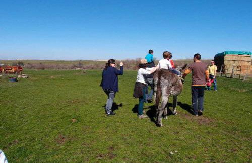 Agroturismo El Mirador de la Cigüeña - Foto 51