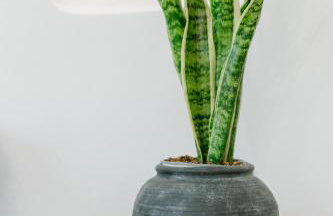 Nysa Kea - A Cycladic House - Foto 47