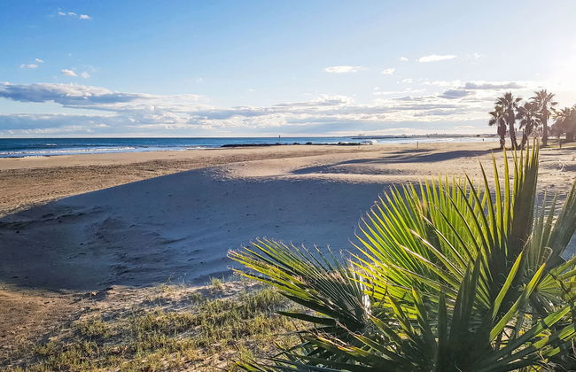 Jorge Comin - Foto 20