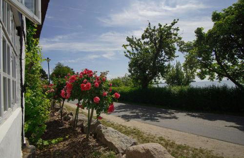 strandnahe Idylle am Meer, private Badestelle mit Strandkorb - Gutshof Ostseeblick FeWo Nr 04 - Photo 25