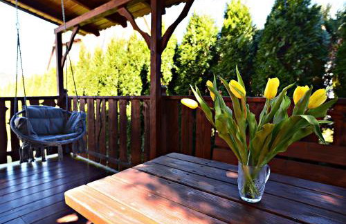 Apartament z tarasem i pokoje KLIMATYZOWANE -Drozdówka Solina - Foto 29