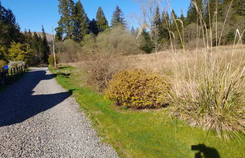 Pinetree Cottage, dog friendly, Holiday let, Callander Invertrossachs - Foto 16