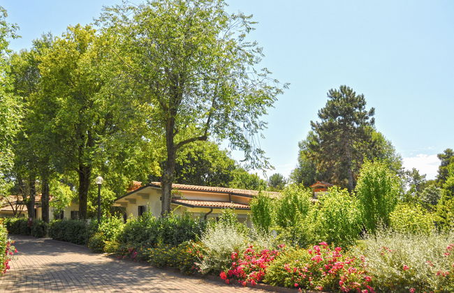 Classic C - Photo 12