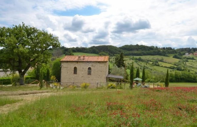 Bellavista farm of Quercini Maurizio - Foto 75