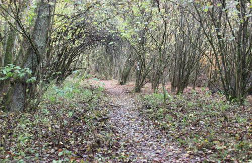 fewogriebelschied - Foto 65