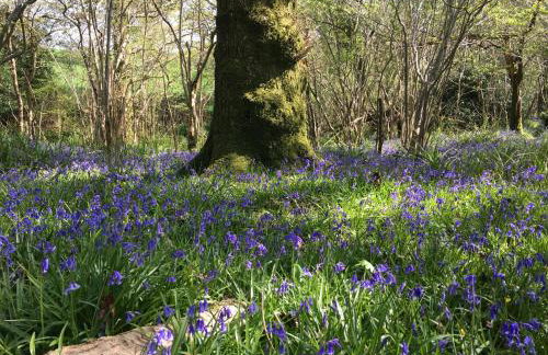 Bettys Barn - Foto 41