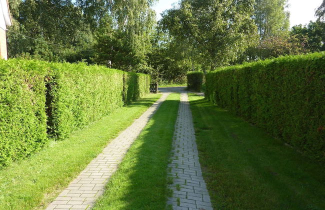 Quaint Holiday Home in Diedrichshagen near Sea Beach - Foto 13