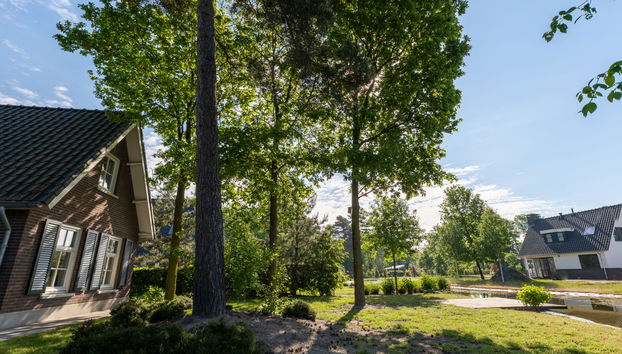 Bronckhorst 6 - Foto 3, Terrace